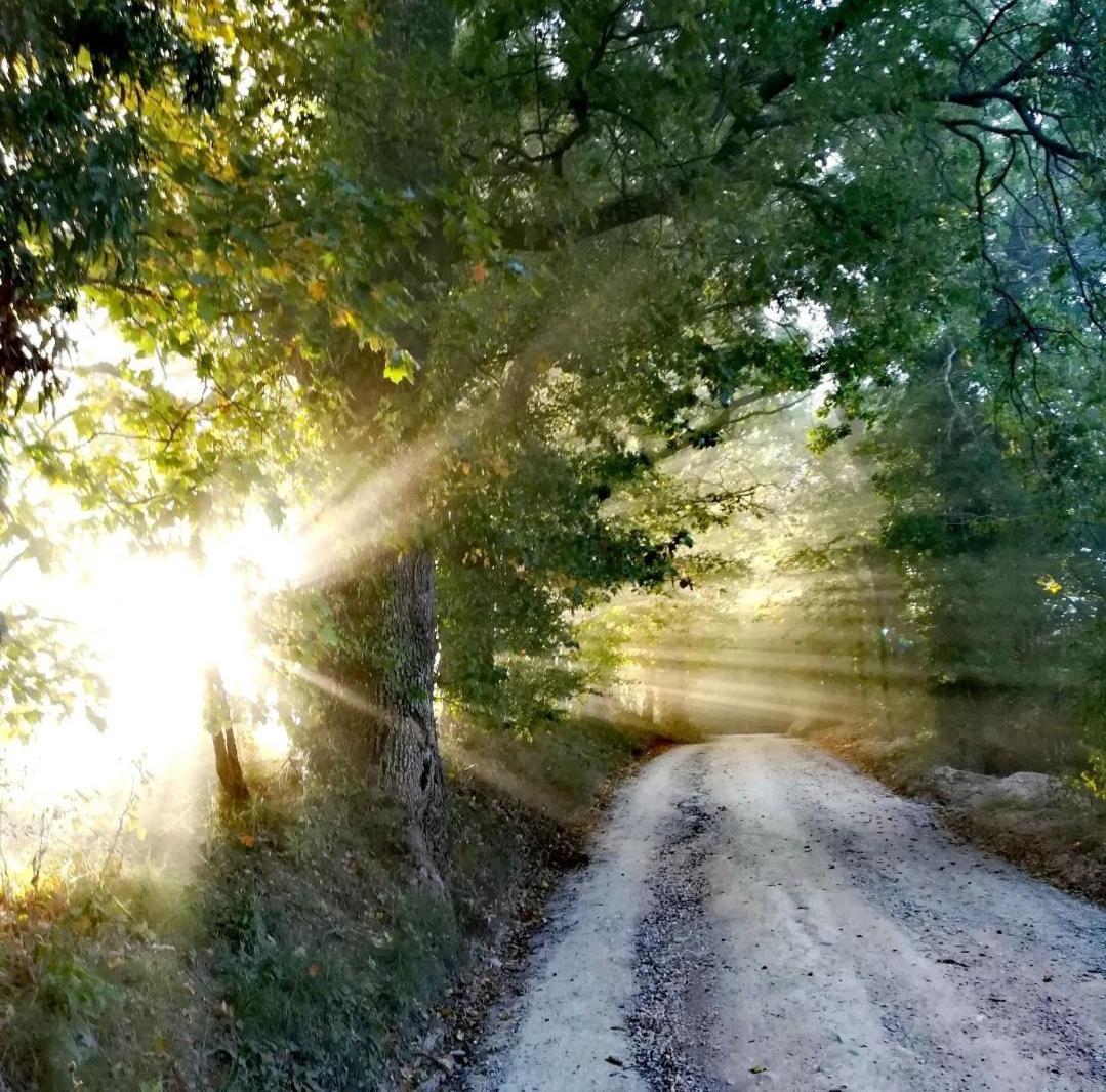 La Quercia Incantata Camerino Buitenkant foto